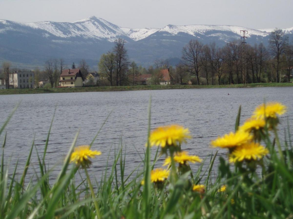 Agroturystyka Aura Kostrzyca Exterior photo