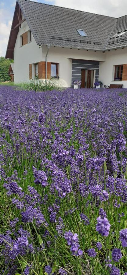 Agroturystyka Aura Kostrzyca Exterior photo